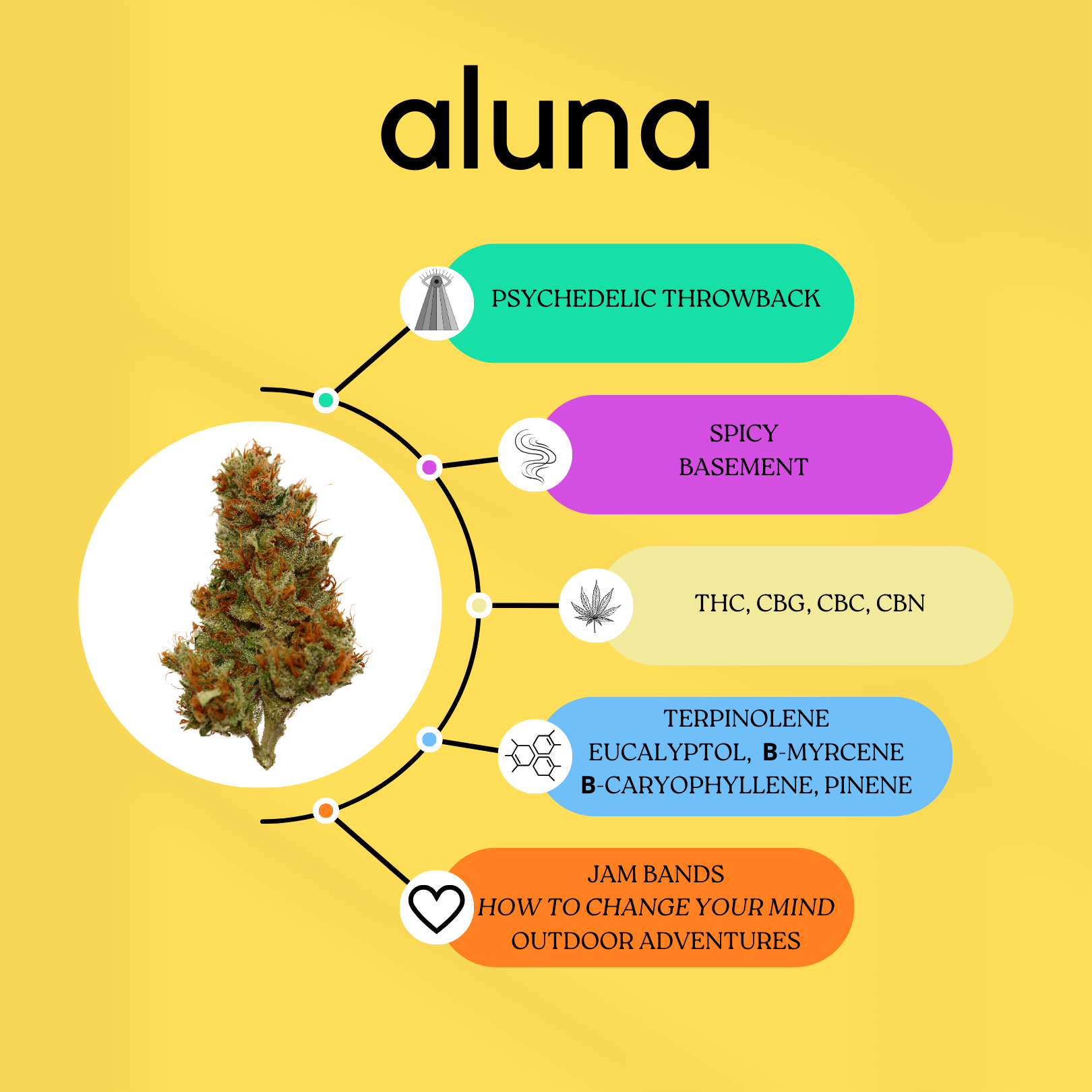 Strain dating profile: Aluna.
