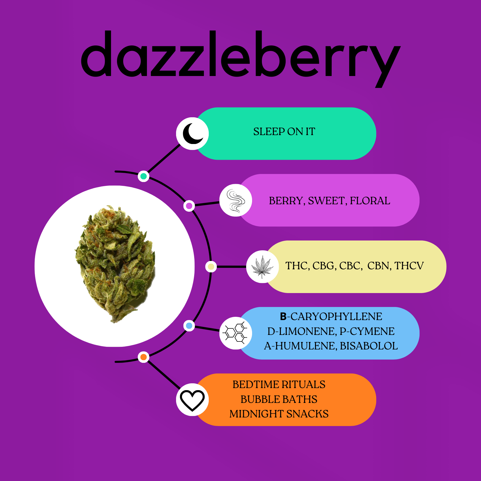 Strain Dating Profile for Dazzleberry: purple indica background, sleep on it, berry sweet floral.