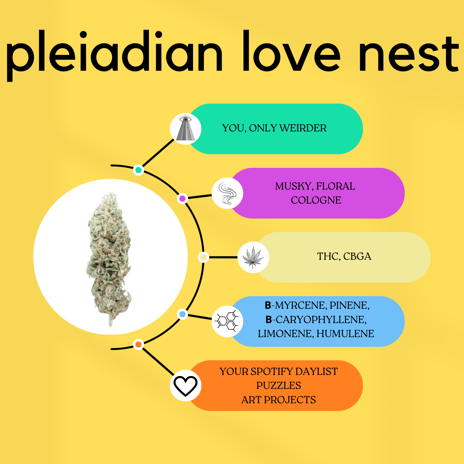 Strain dating profile: Pleiadian Love Nest.