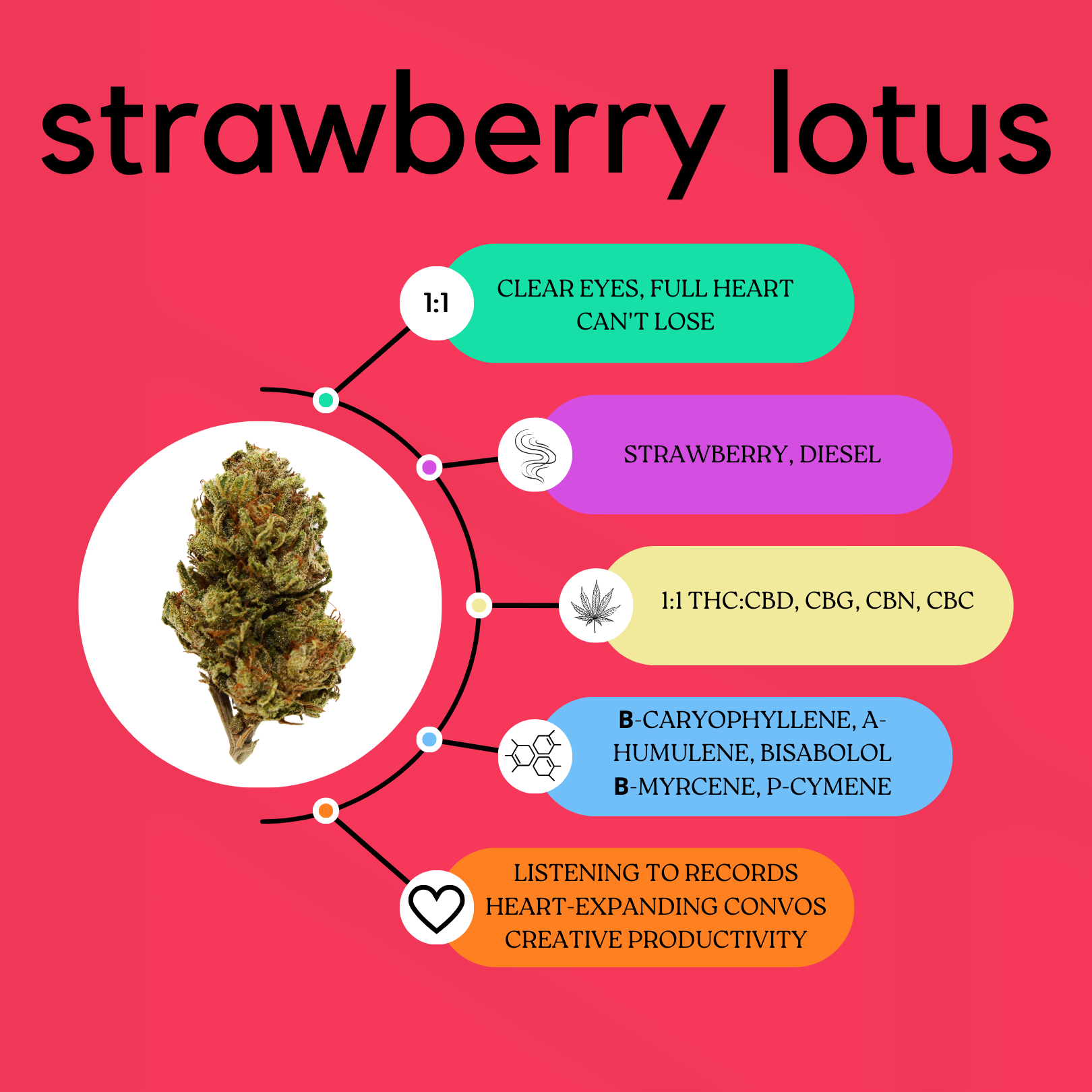 Strain Dating Profile for Strawberry Lotus: red 1:1 background, clear eyes, full heart, can't lose.