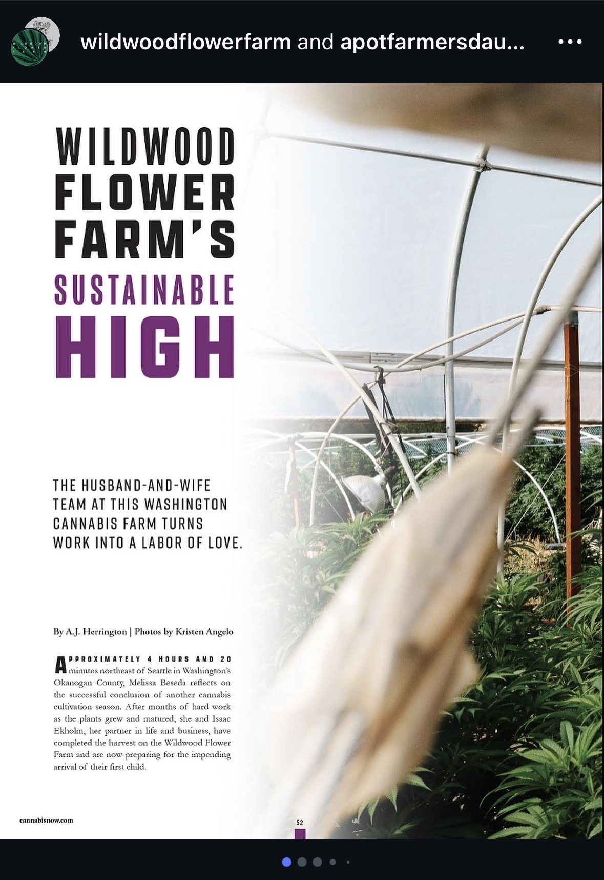 Cannabis Now magazine feature spread: 'Wildwood Flower Farm's Sustainable High. The husband-and-wife team at this Washington cannabis farm turns work into a labor of love.' By A.J. Herrington, photos by Kristen Angelo.